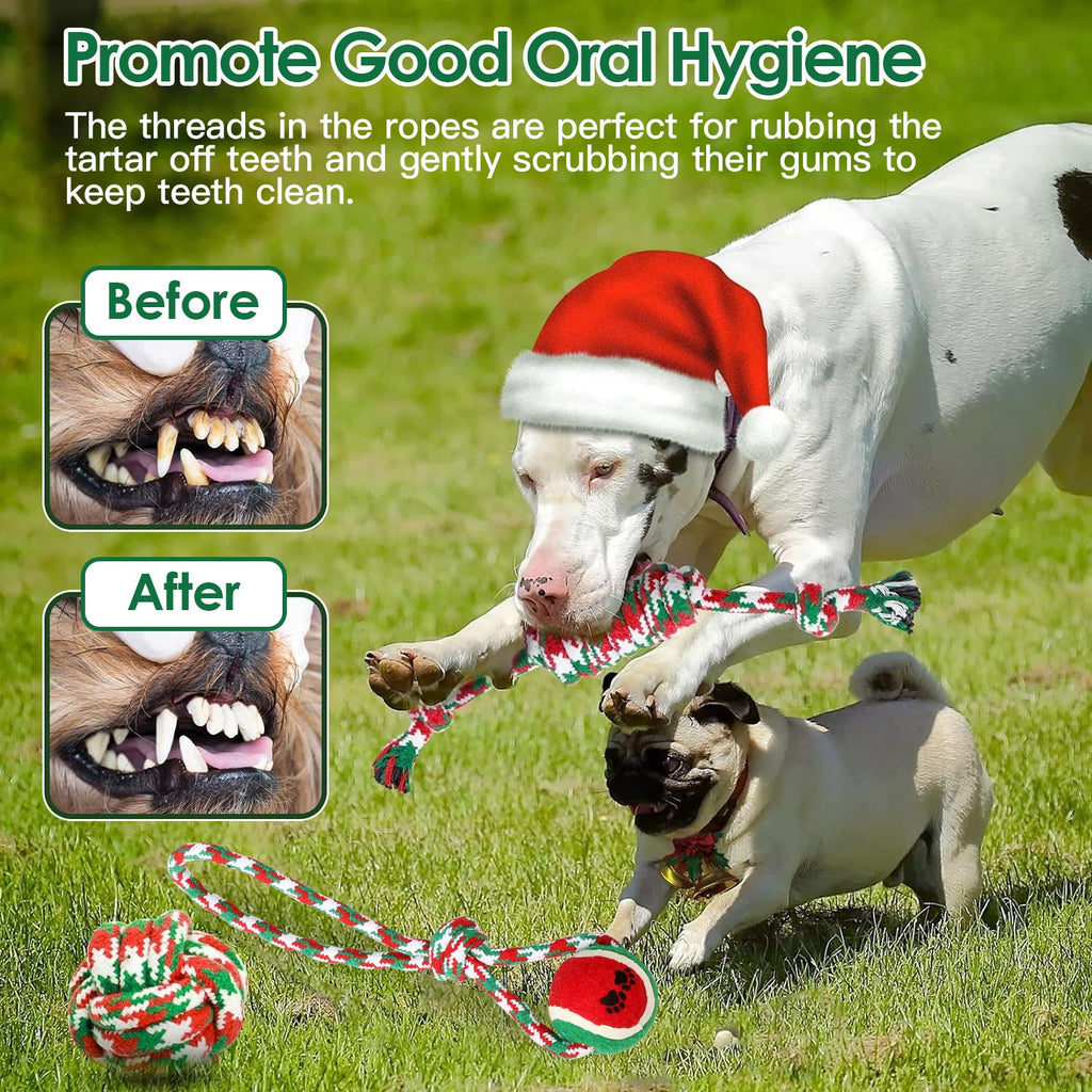 Set Of 5Pcs Christmas Dog Rope Chew Toys Dog Interactive Toys Set For