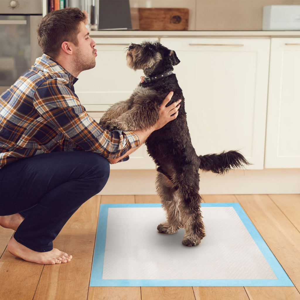 50Pcs Per Set Dog Training Pads Puppy Pee Pads Cat Wee Mats
