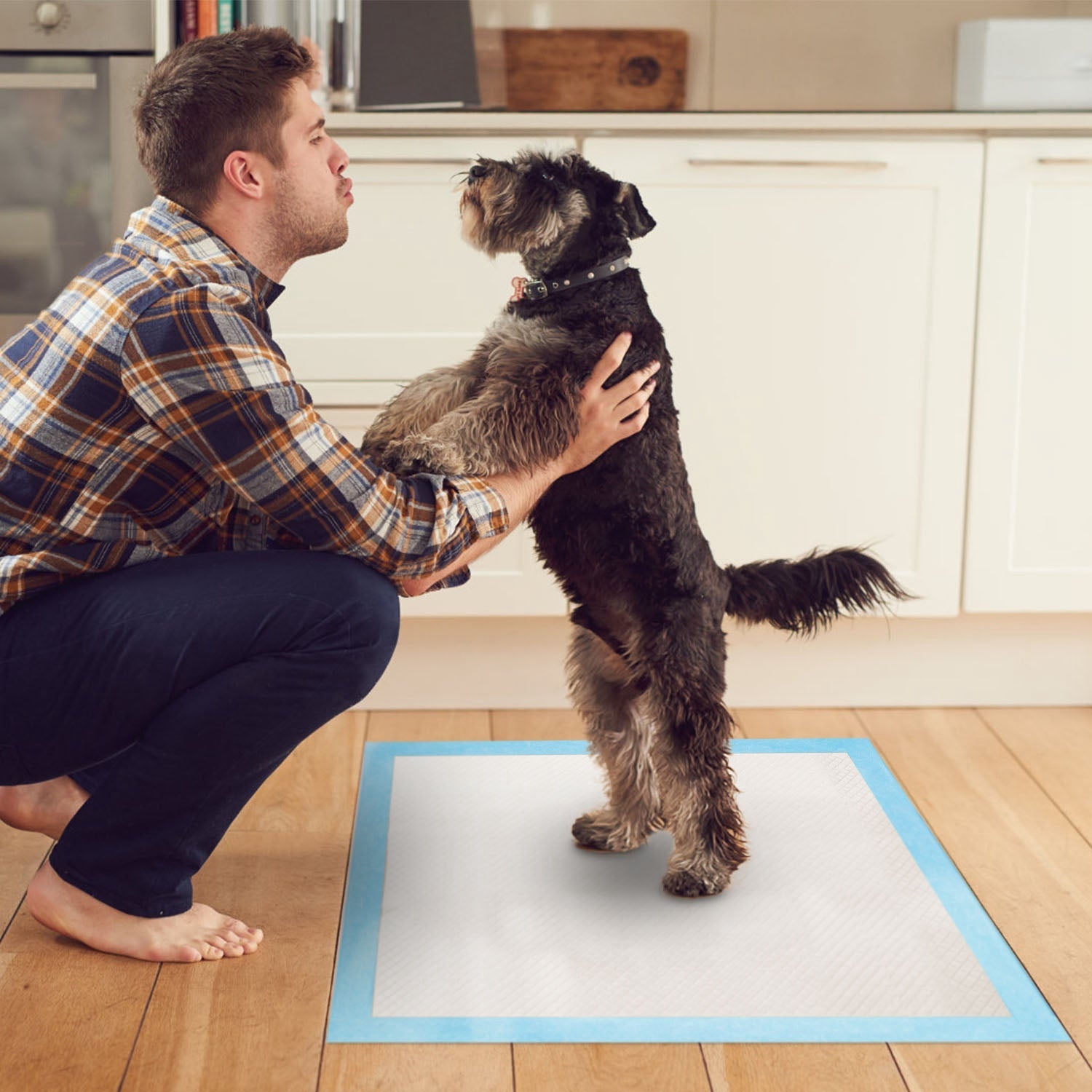 50Pcs Per Set Dog Training Pads Puppy Pee Pads Cat Wee Mats